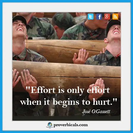 efforts-proverb