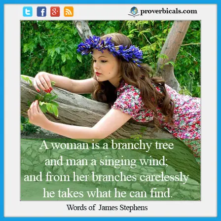Saying about Branches
