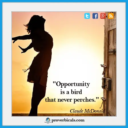 Saying about opportunities