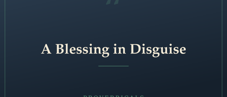 A Blessing in Disguise — Proverbicals