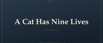 A Cat Has Nine Lives — Proverbicals