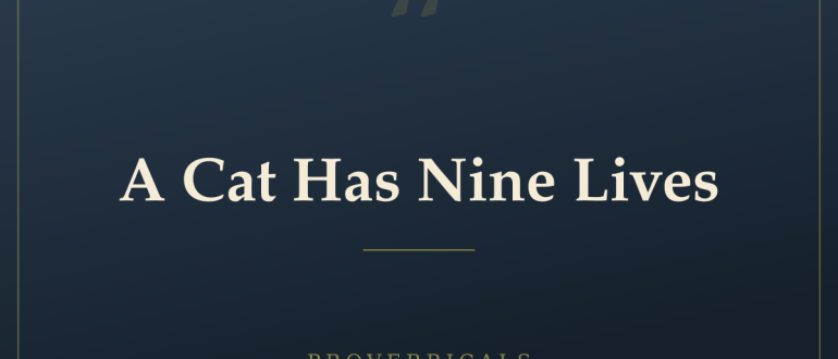 A Cat Has Nine Lives — Proverbicals