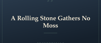 A Rolling Stone Gathers No Moss — Proverbicals
