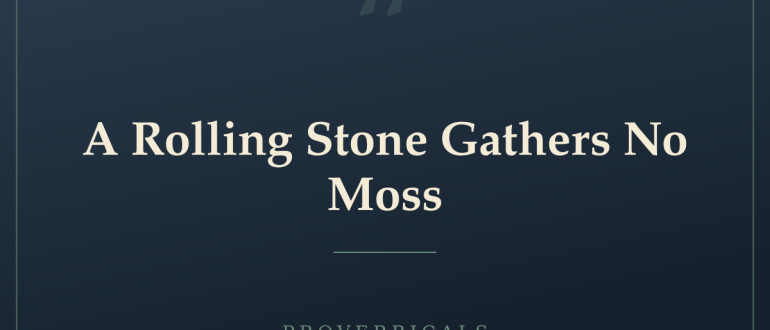 A Rolling Stone Gathers No Moss — Proverbicals