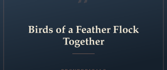 Birds of a Feather Flock Together — Proverbicals