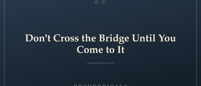 Don't Cross the Bridge Until You Come to It — Proverbicals