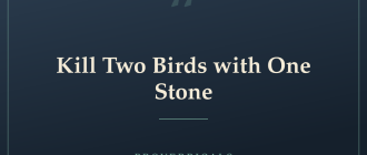 Kill Two Birds with One Stone — Proverbicals