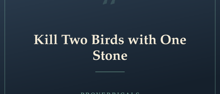 Kill Two Birds with One Stone — Proverbicals