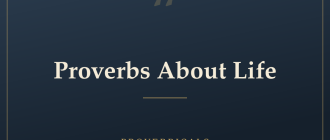 Proverbs About Life — Proverbicals