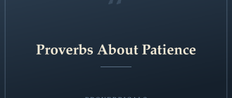 Proverbs About Patience — Proverbicals