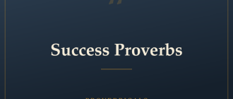 Success Proverbs — Proverbicals