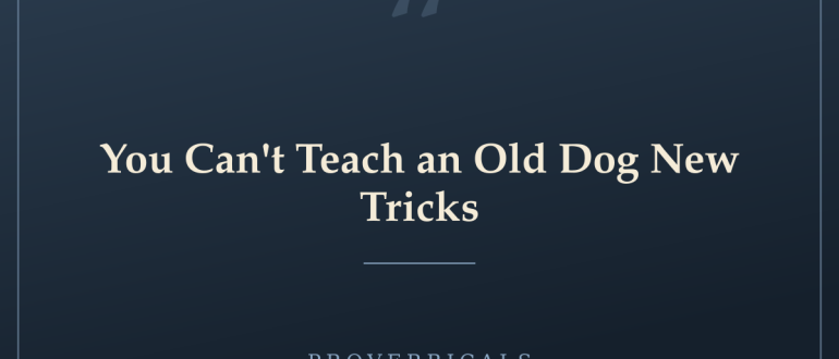You Can't Teach an Old Dog New Tricks — Proverbicals
