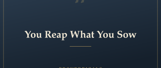 You Reap What You Sow — Proverbicals